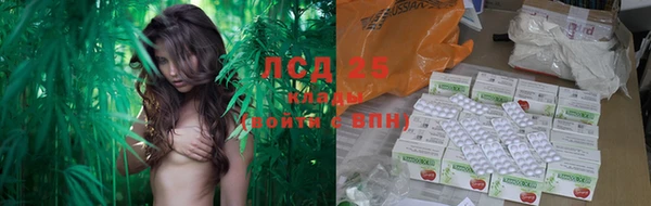 крисы Алексин