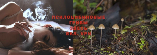 ALPHA PVP Алзамай