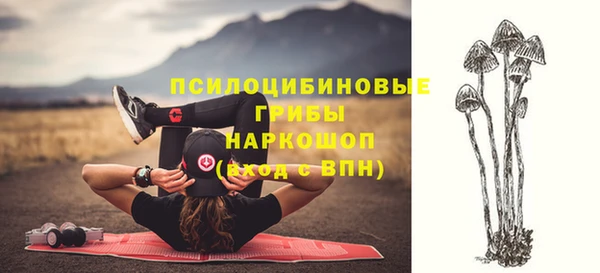 ALPHA PVP Алзамай