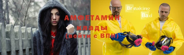 крисы Алексин