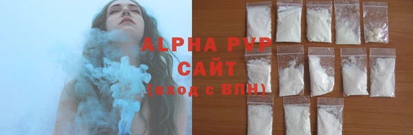 крисы Алексин
