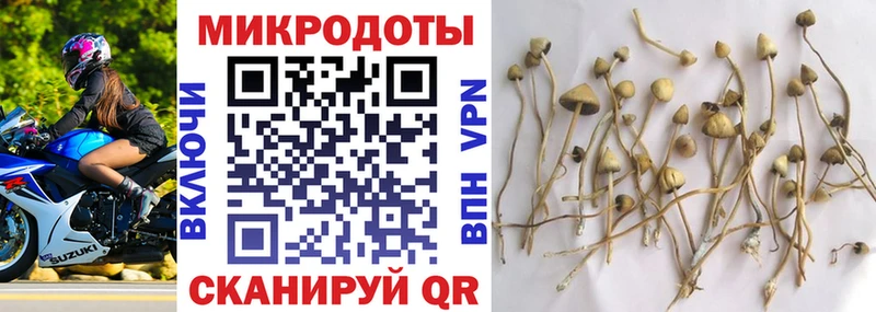 Галлюциногенные грибы Psilocybe  Иваново 