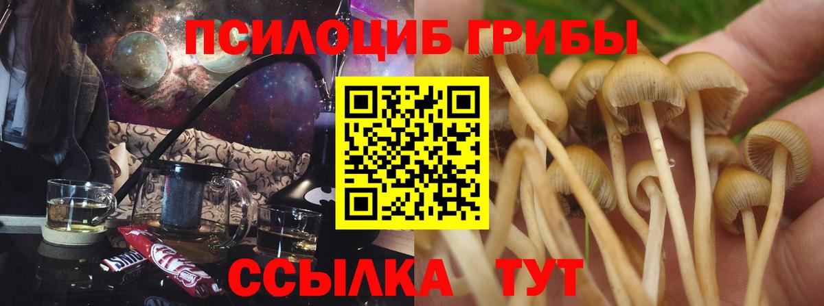 Псилоцибиновые грибы мухоморы  Вход с VPN  Иваново 