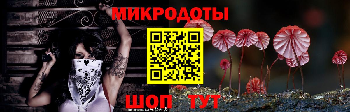Галлюциногенные грибы Psilocybine cubensis Иваново