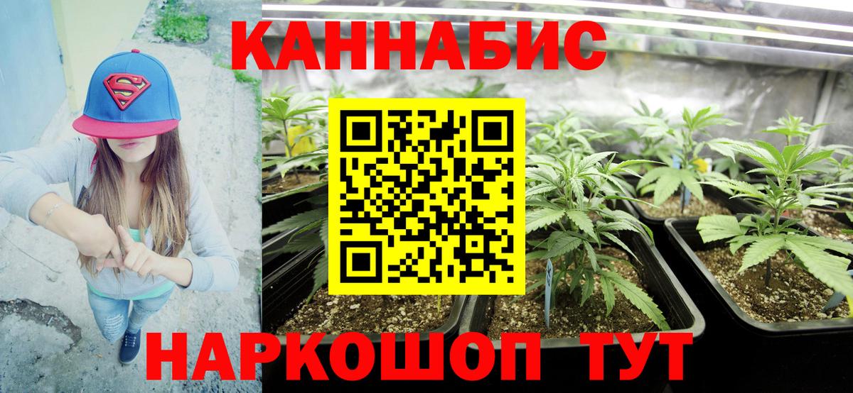 Бошки марихуана тримм  Шишки марихуана марихуана  Вход с VPN  Каннабис план  Иваново 